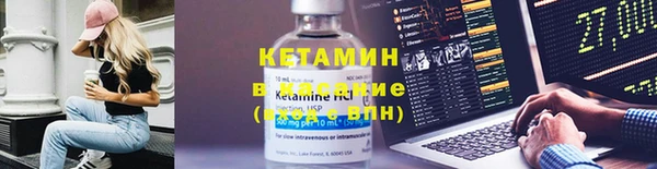 PSILOCYBIN Горно-Алтайск
