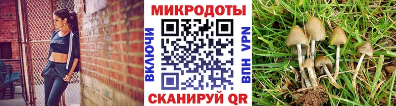 что такое наркотик  blacksprut онион  Псилоцибиновые грибы мицелий  Каневская 