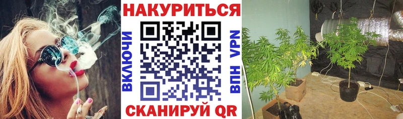 блэк спрут маркетплейс  цена наркотик  Каневская  Канабис семена 